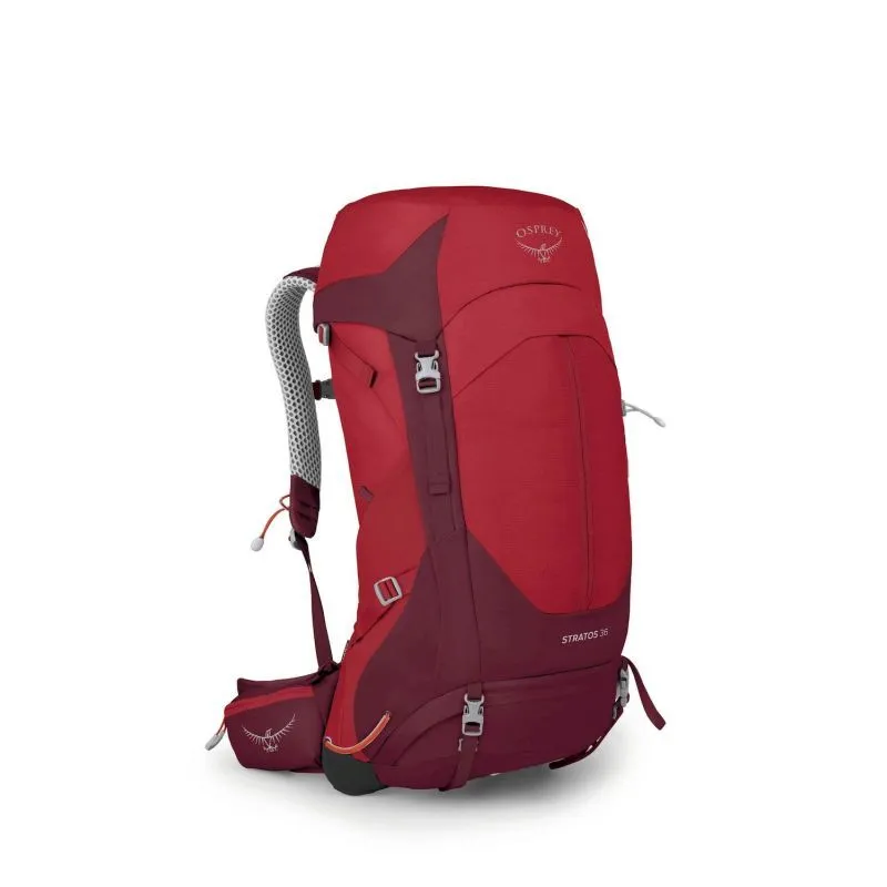 Osprey Stratos 36 - Wanderrucksack - Herren